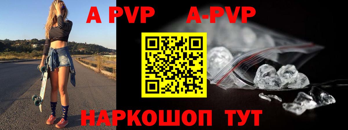 A PVP СК КРИС Холмск