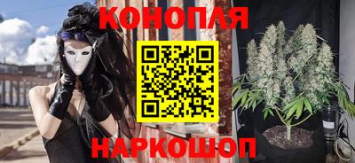 гидра Лесосибирск