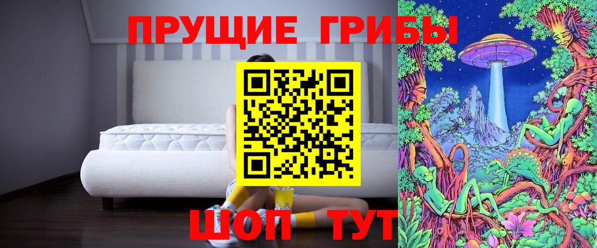 Галлюциногенные грибы прущие грибы Холмск