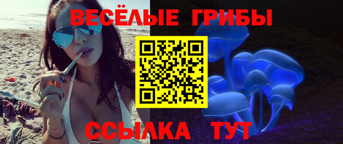 Галлюциногенные грибы Psilocybine cubensis  Вход с VPN  что такое наркотик  Холмск 